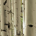 farmhouse gray