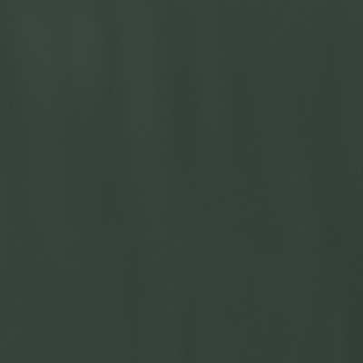 Fern Green
