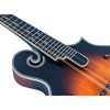 Washburn M3SEBRK F-Style Mandolin Brown Burst - 2 of 4