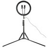 Vivitar 12" Professional White LED Ring Light Kit with Mini Lavalier Microphone, Dual Gooseneck Phone Mounts 63" Light Stand - 3 of 4
