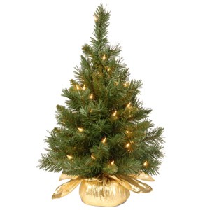 National Tree Company 24" Pre-Lit Majestic Fir Artificial Christmas Tree in Gold Cloth Bag with 35 Clear lights - 1 of 4