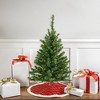 Northlight 3' Prelit Battery Operated Artificial Christmas Tree Canadian Pine - Clear Lights - 2 of 4