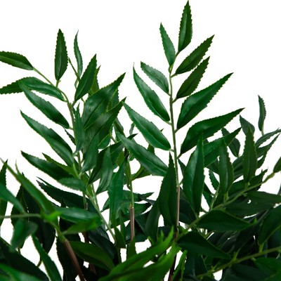 19-inch Green Fern Arrangement in Clear Glass Vase