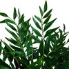 Nearly Natural 19-in Palmate Fern Arrangement in Glass Vase - 3 of 4