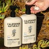 California Naturals Classic Coconut Conditioner - 16.5 fl oz - 2 of 4