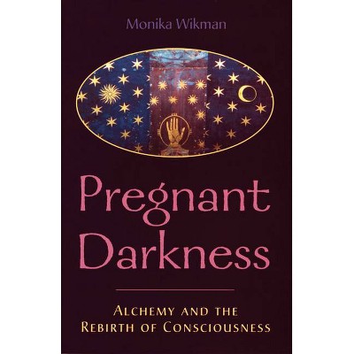 Pregnant Darkness - by  Monika Wikman (Paperback)