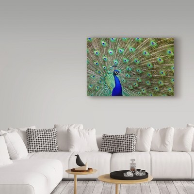 Peacock Proud Multicolor Canvas Art for Kids Nursery