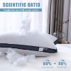 Aghana Digitals Luxury Queen Size Bed Pillows Set of 2 for Side Sleepers - 3 of 4