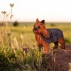 Breyer Animal Creations CollectA Cats & Dogs Collection Miniature Figure | Yorkshire Terrier - 3 of 4