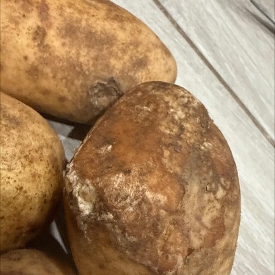 Guest review image 4 of 4, zoom in