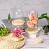 Unique Bargains Wooden Base Plants Home Decor Glass Bell Jar Display Case - 4 of 4
