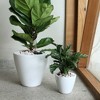 SEVOBAL Planters 2 Pack Smart Self Watering Planter Pots Handcrafted, Eco Friendly, Indoor Or Outdoor Round Cone, White, 10.20"*10.20"*9.40" - 4 of 4