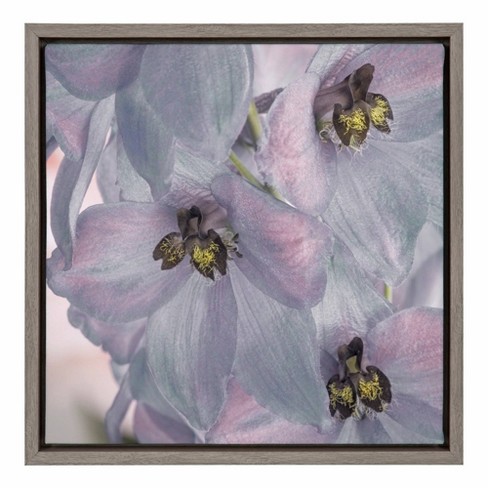 16 X 16 Usa Washington State Seabeck Delphinium Blossoms Close Up Framed Canvas Wall Art Amanti Art Target