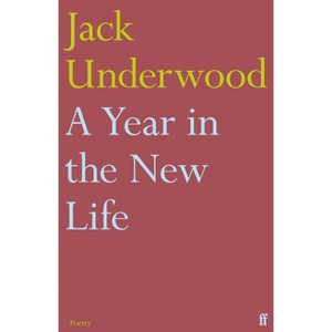 A Year in the New Life - by  Jack Underwood (Paperback) - 1 of 1