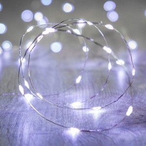 Perfect Holiday 30 LED Silver Copper Fairy Lights - Battery Operated - 1 of 2