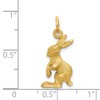 Black Bow Jewelry 14k Yellow Gold Jack Rabbit Charm or Pendant, 10mm - 4 of 4