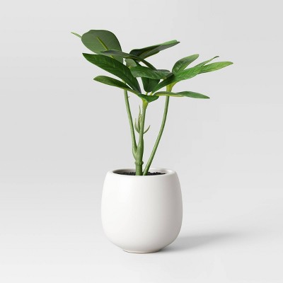 6&#34; Mini Tabletop Schefflera Artificial Plant - Threshold&#8482;