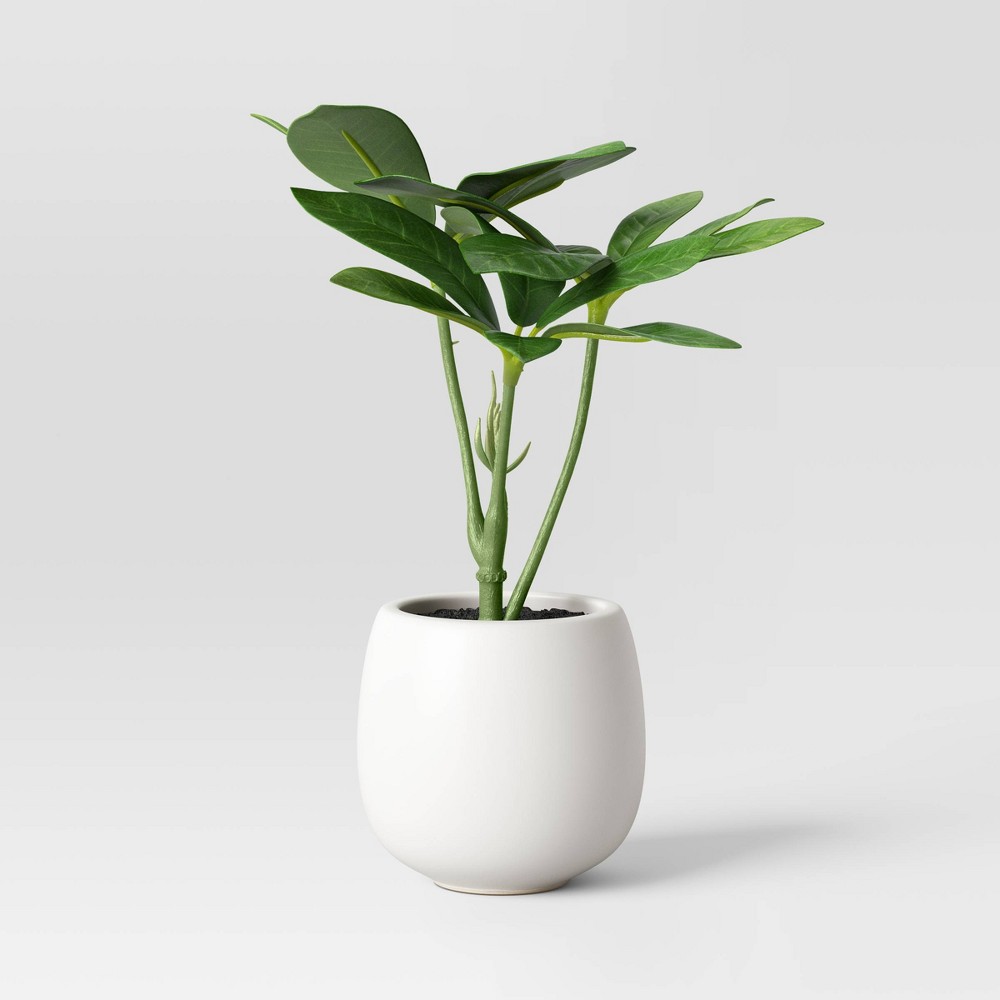 Photos - Other interior and decor 6" Mini Tabletop Schefflera Artificial Plant - Threshold™