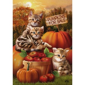 Fall Kittens Pumpkins House Flag Apple Basket Autumn 28" x 40 Briarwood Lane - 1 of 4