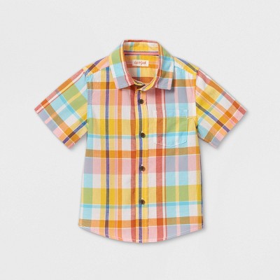 cat collared shirt