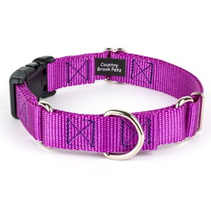 Country Brook Petz Heavy Duty Nylon Martingale Dog Collar with Deluxe Buckle - 30+ Vibrant Color Options - 1 of 4