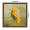 Amanti Art Fading Sunflower by Gaille Gray Canvas Wall Art Print Framed 16 x 16-in. - 4 of 4