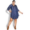Avenue Women's Plus Size Mae Pintuck Shirtdress - 3 of 4