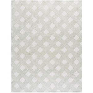 Ebony EBN752 Hand Tufted Indoor Rugs - Safavieh - 1 of 4