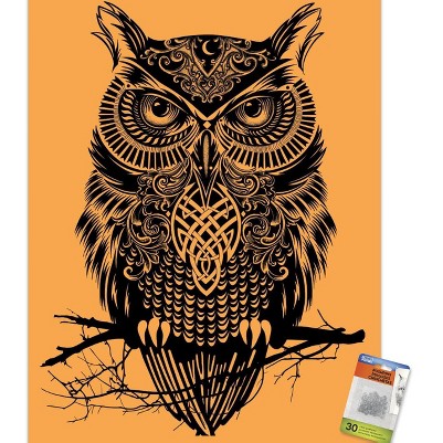 clear push pins bundle