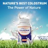 Vitamatic Bovine Colostrum 30% IgG Supplement 1500 mg per Serving-180 Veg Capsules - 4 of 4