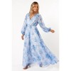 Petal and Pup Anisa Maxi Dress - Blue Floral S - 3 of 4