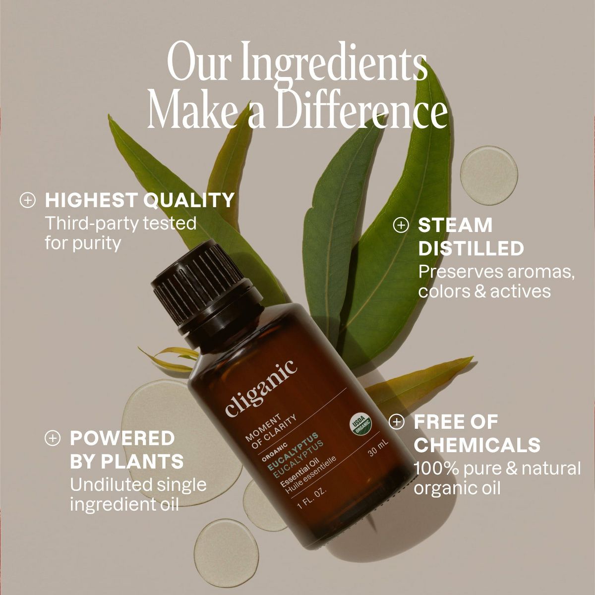 Organic Eucalyptus Essential Oil - thumbnail 4