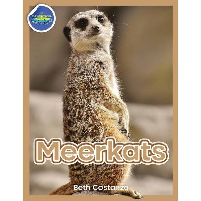 Meerkat Activity Workbook for Kids ages 4-8 - by  Beth Costanzo (Paperback)