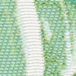 green/teal