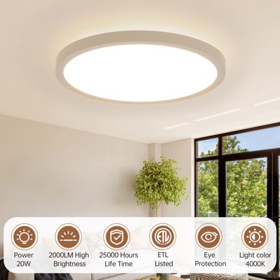 11.8 Inch LED Flush Mount Ceiling Light Fixture Super Slim 20W 2000lm LED Ceiling Light Round Light Fixture for Bedroom Kitchen Dining Room