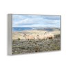 Stupell Industries Three Friends Sheep in Nature Framed Giclee Art - 2 of 4
