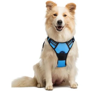 rabbitgoo Dog Harness No Pull with 2 Leash Clips, Control Handle for Medium Sized Dogs, Blue, M - 1 of 1