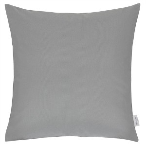 Tramull Rainforest Solid Pillow Cover 20x20 Inch, Indoor/Outdoor Water Resistant Decorative Pillow, Solarium Polyester - 1 of 4