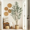 Olive Trees Artificial Indoor, Tall Faux Olive Tree with Black Planter & Green Fake Moss, Artificial Plants with Natural Wood Trunk & Lifelike Fruits - 3 of 4