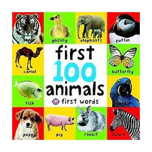 First 100 Words (Bright Baby Series) First Edition by Roger Priddy (Board  Book)