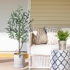 Boersma Artificial Olive Tree, Fake Floor Plant with Plastic Pot for Office and Home Decor, Decorative Artificial Plant for Indoors and Outdoors - 4 of 4