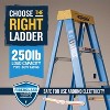 Werner 6 ft. H Fiberglass Step Ladder Type I 250 lb. capacity - 3 of 4