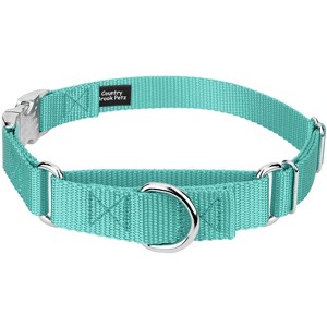 Country Brook Petz Heavyduty Nylon Martingale with Premium Buckle - 1 of 4