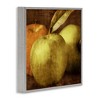 Stupell Industries Vintage Apples Close Up, Gray, 17" x 17" - 2 of 4