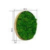 ChicFurnit Wall Art Round Framed Moss Wall Decor Artistic Nature Accent for Home Living Room and Office, Green, 18.1"*18.1"*2" - 3 of 4