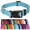 Country Brook Petz American Made Deluxe Nylon Dog Collar - 2 of 4
