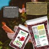 Organic Hibiscus Powder (Hibiscus Rosa-sinensis) - 7oz (200g) - Rani Brand Authentic Indian Products - 3 of 4