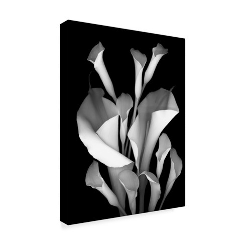 Trademark Fine Art - Susan S. Barmon 'White Calla 2 Black And White' C - image 1 of 3