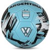 Vizari Mini National Team Soccer Balls - image 2 of 4