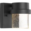 Progress Lighting Z-1060 1-Light Outdoor Wall Light, Black Finish, Glass Shade - 3 of 4